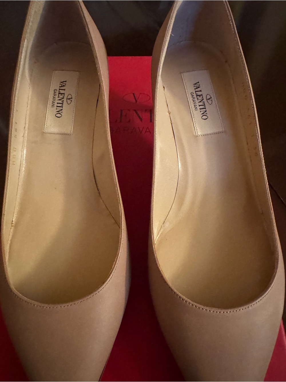 Valentino Nude Pointed-Toe Leather Pumps
